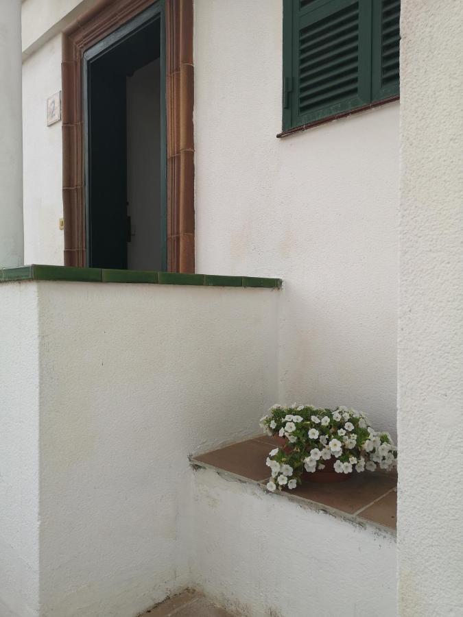 Toni'S Apartament Menorca Cala en Bosch Zewnętrze zdjęcie